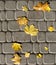 Seamless autumn leaves on cobbles