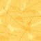 Seamless autumn leaves pattern