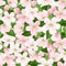 Seamless background with apple blossoms.