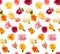 seamless background of beautiful delicate flowers of roses of different colors, vivid, spring gift, holiday of spring and