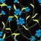 Seamless background of blue meadow cornflowers