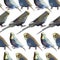 Seamless background with budgerigar in vector