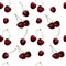 Seamless background of cherry fruit cartoon watercolor