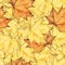 Seamless background with colorful autumn maple leaves