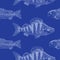 Seamless background with crucian carp on blue