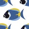 Seamless background, Exotic Fish Paracanthurus hepatus, surgeonfish. In minimalist style. Cartoon flat vector