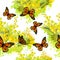 A seamless background of mimosa with butterflies. Vector illustration