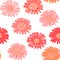 Seamless background with pink and purple gerbera. Vector EPS-10.