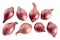 Seamless background with red onions, top view. Red onion on a white background. Set of red onion Isolated on white
