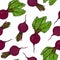 Seamless Background of Ripe Beets. Endless Pattern of Beetroot with Top Leaves and Beet Halves. Fresh Vegetable Salad. Hand Drawn