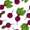 Seamless Background of Ripe Beets. Endless Pattern of Beetroot with Top Leaves and Beet Halves. Fresh Vegetable Salad. Hand Drawn