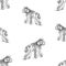 Seamless background of sketches cute walking poodle