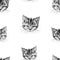 Seamless background of sketches of head of domestic kitten