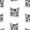 Seamless background of sketches of head of a small cat