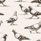 Seamless background of walking city pigeons