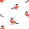 Seamless background of watercolor sketches of bullfinches