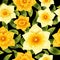 Seamless background with yellow daffodil narcissus. Spring flower with stem and leaves. Realistic pattern