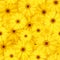 Seamless background with yellow gerbera flowers. Vector illustration.