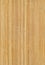 Seamless bamboo texture