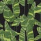 Seamless banana leaf pattern background. Simple green drawing line art illustration.