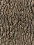 Seamless bark tree texture