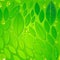 Seamless beautiful green leaves background