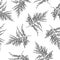 Seamless black and white asparagus fern pattern, foliage vector, illustration  background