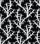 Seamless black and white cactus tree pattern