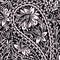 Seamless black and white pattern with paisley and flowers.