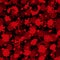 Seamless blood pattern. Black and red horror spatter. Ink drops. Maroon bloodstain and splat. Halloween print. Paint
