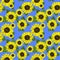 Seamless blue summery background with yellow sunflower and green leaves