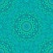 Seamless bohemian mandala ornament pattern background art