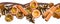 Seamless border with cinnamon sticks, dried oranges, walnut, cones isolated on white
