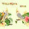 Seamless border tropical birds Yellow cockatiels cute funny parrots and tropical flowers pink and yellow hibiscus and Strelitzi