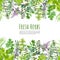 Seamless borders with watercolor kitchen herbs and plants