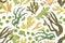 Seamless botanical pattern with different realistic seaweeds on white background. Repeating texture with sea algae in
