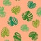 Seamless botanical pattern from hand drawn monstera leaves of different shades of green on trendy pink golden orange background