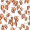 Seamless branches pattern Physalis lanterns Chinese botanical illustration watercolor on white