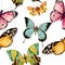 Seamless butterfly pattern