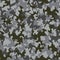 Seamless camouflage pattern