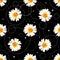 Seamless chamomile pattern on black background with doodles