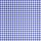 Seamless checkered Gingham pattern - Blue and White