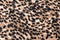 Seamless Cheetah Skin Pattern on Cloth