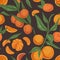 Seamless citrus pattern with clementines or tangerines, leaves and branches of mandarin tree on dark background. Hand