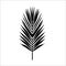 Seamless color palm leave. Flat style. Black and white.