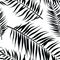Seamless color palm leaves pattern. Flat style. Black and white