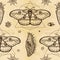 Seamless color pattern: image of a butterfly, larva, sacred geometry.