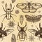 Seamless color pattern: set of insects, butterflies, bugs, larvae. A background - imitation of old paper.