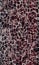 Seamless Colored Animal Skin Pattern, Repeated Leopard Skin Design with Lines.