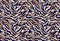 Seamless colored animal zebra pattern ready for fashion textile prints.